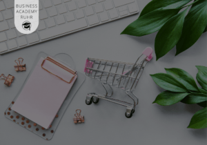 Erstellung Onlineshops